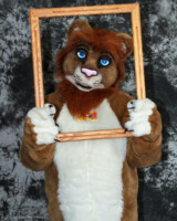 cat-days-photoshoot-171 