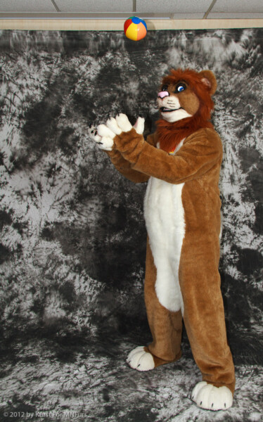 cat-days-photoshoot-173