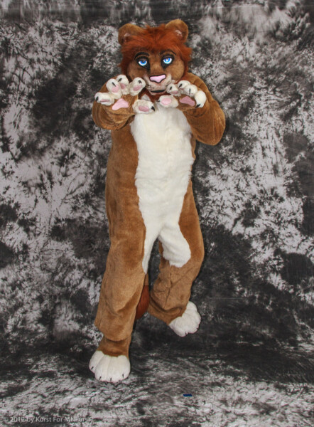 cat-days-photoshoot-178