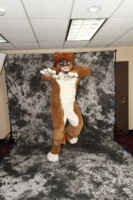 cat-days-photoshoot-179 