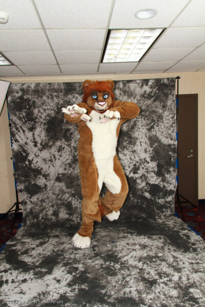 cat-days-photoshoot-179