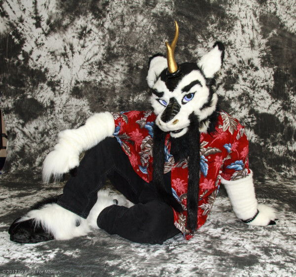 cat-days-photoshoot-18