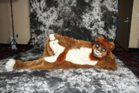 cat-days-photoshoot-181 