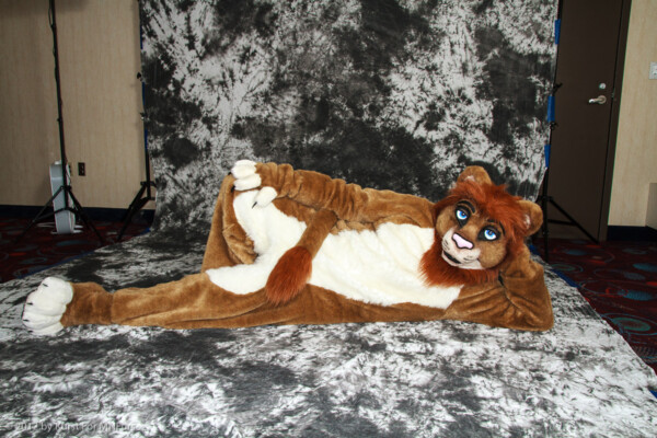cat-days-photoshoot-181