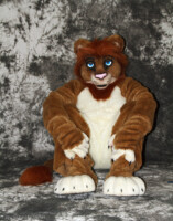 cat-days-photoshoot-185 