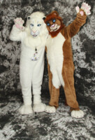 cat-days-photoshoot-186 