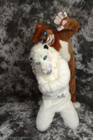 cat-days-photoshoot-189 