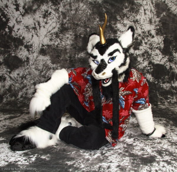 cat-days-photoshoot-19