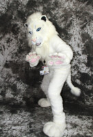cat-days-photoshoot-192 