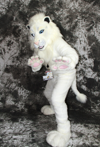 cat-days-photoshoot-192