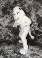 cat-days-photoshoot-193 