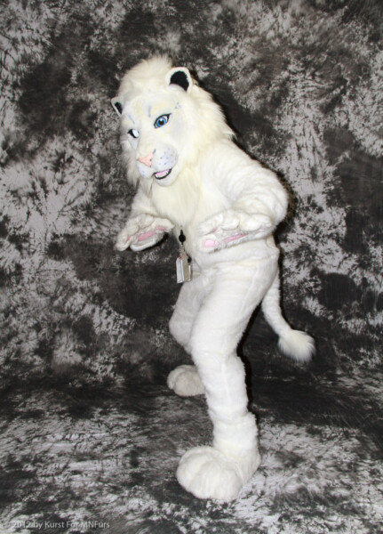 cat-days-photoshoot-193