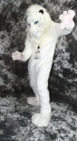 cat-days-photoshoot-195 
