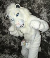 cat-days-photoshoot-196 