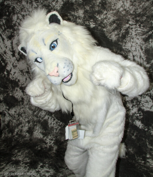 cat-days-photoshoot-196