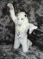 cat-days-photoshoot-197 