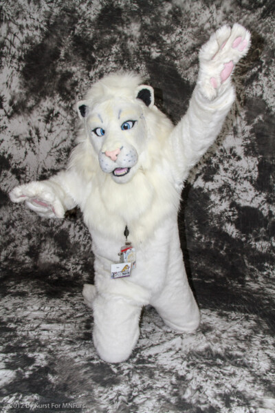 cat-days-photoshoot-199