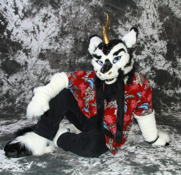 cat-days-photoshoot-20