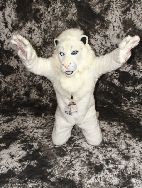 cat-days-photoshoot-201