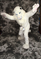 cat-days-photoshoot-202 
