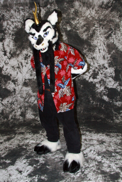 cat-days-photoshoot-21