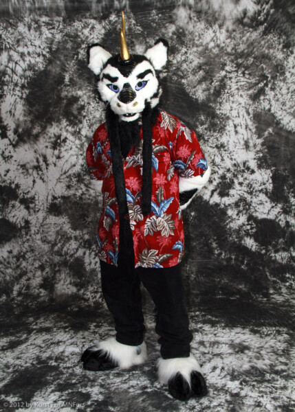 cat-days-photoshoot-22