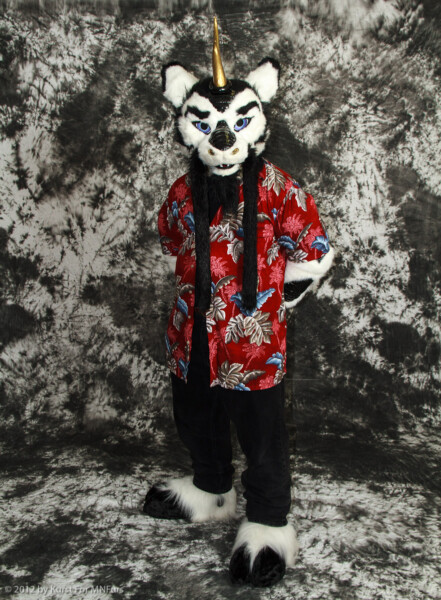 cat-days-photoshoot-23