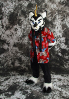cat-days-photoshoot-25 
