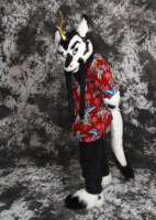 cat-days-photoshoot-26 