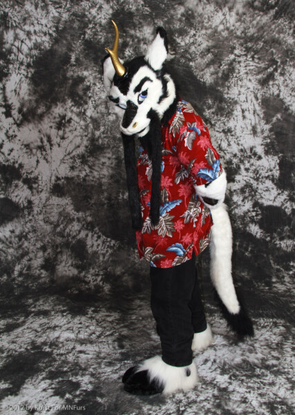 cat-days-photoshoot-26