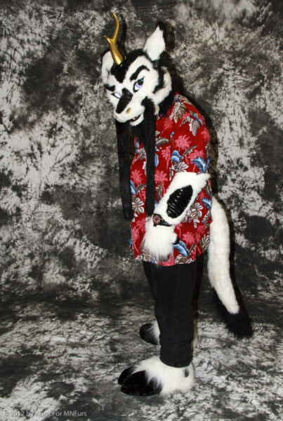 cat-days-photoshoot-27