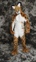 cat-days-photoshoot-28 