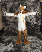 cat-days-photoshoot-29 