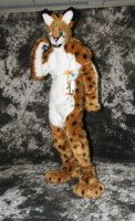 cat-days-photoshoot-30 