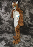 cat-days-photoshoot-31 
