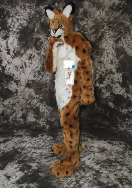 cat-days-photoshoot-31