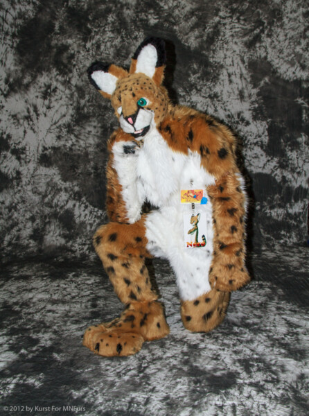 cat-days-photoshoot-32