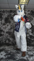 cat-days-photoshoot-37 
