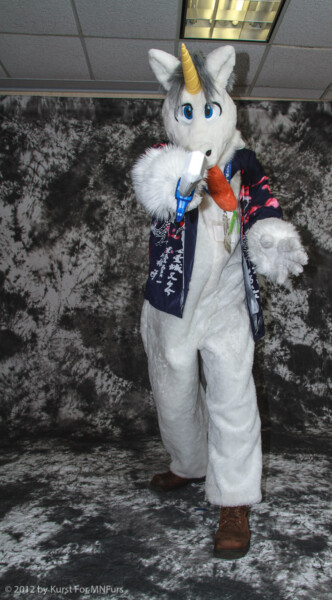cat-days-photoshoot-37