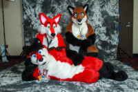 cat-days-photoshoot-48 