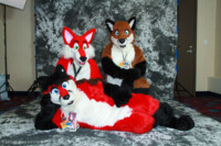 cat-days-photoshoot-49 