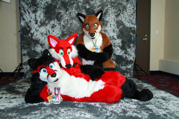 cat-days-photoshoot-50