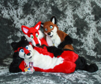 cat-days-photoshoot-51 
