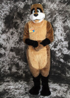 cat-days-photoshoot-52 