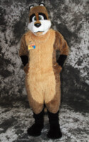 cat-days-photoshoot-53 