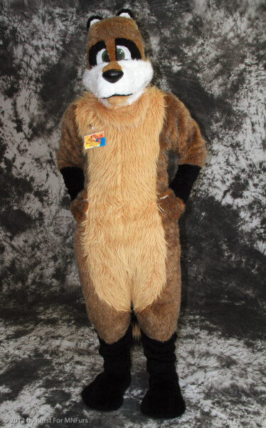 cat-days-photoshoot-53