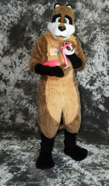 cat-days-photoshoot-55