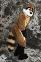 cat-days-photoshoot-58 