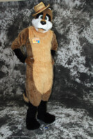 cat-days-photoshoot-59 