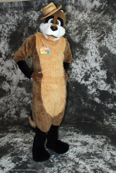 cat-days-photoshoot-59
